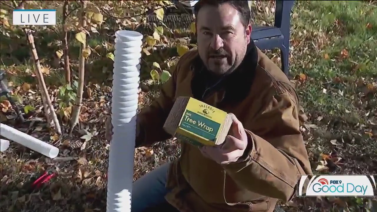 Protecting your landscape for winter