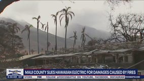 Maui County sues Hawaiian Electric for damages