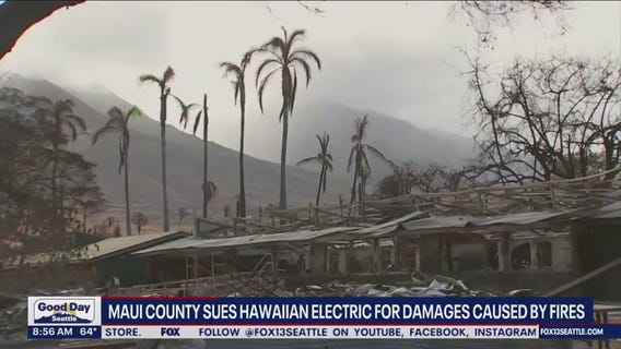 Maui County sues Hawaiian Electric for damages