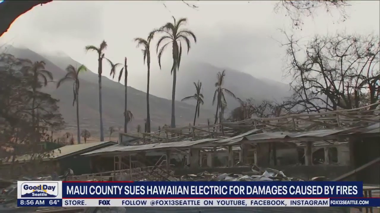 Maui County sues Hawaiian Electric for damages