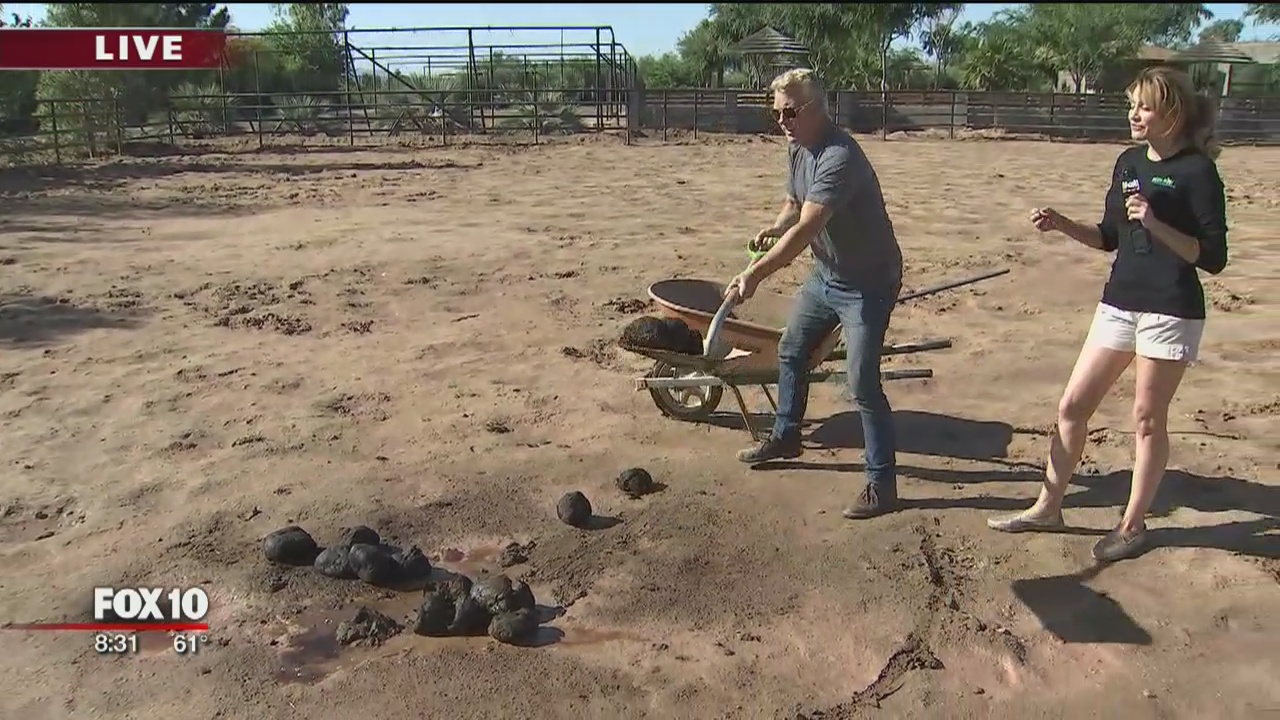 'Dirty Jobs Week': Wildlife World Zoo, Aquarium and Safari Park