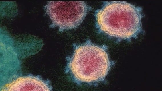 Scientists predict a worse pandemic