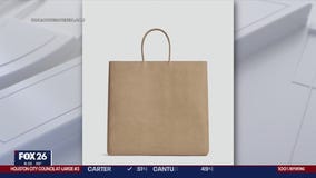 $2500 Paper Bag-inspired purse
