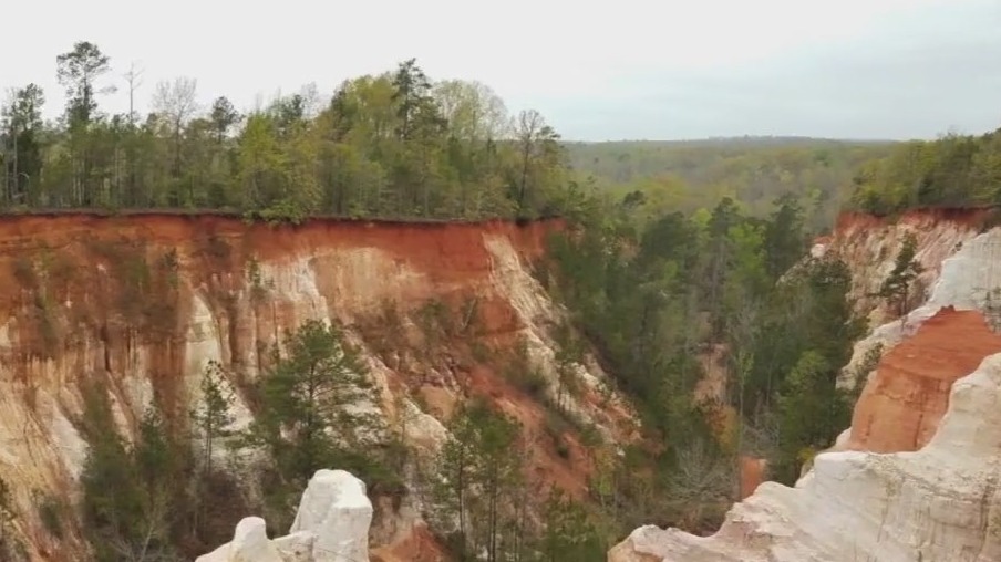 Jimmy Carter's impact on Georgia parks