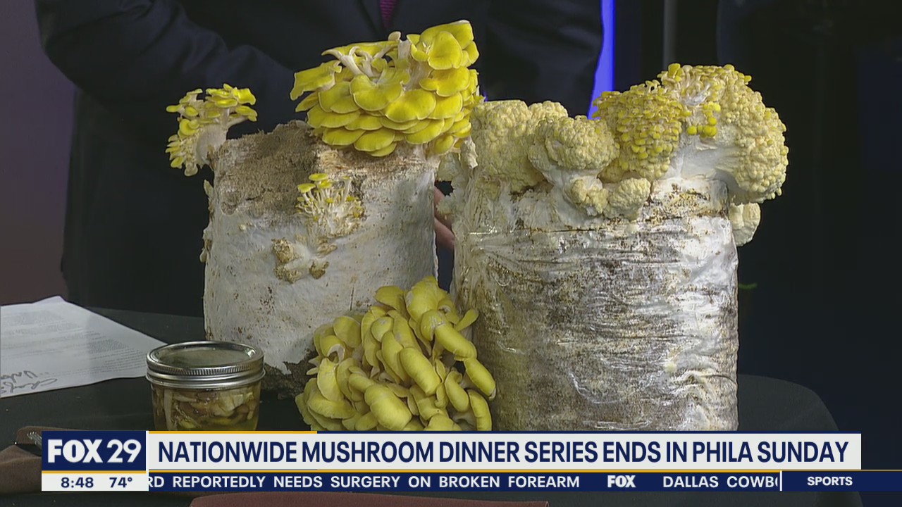 Mushroom Dinner Series concludes in Philadelphia on Sunday