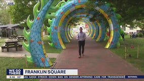 Chinese Lantern Festival lights up Franklin Square