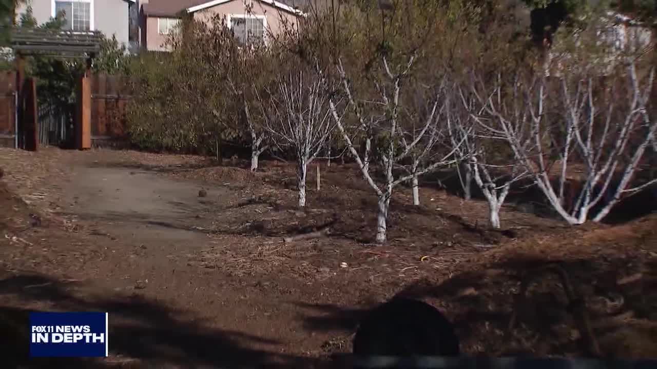 In Depth: Composting