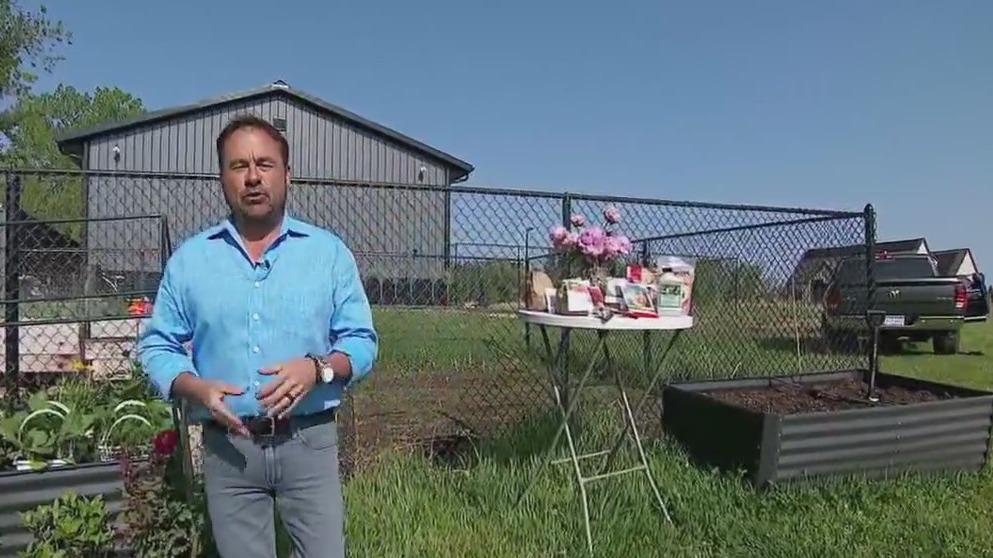 Creating your own cut flower garden