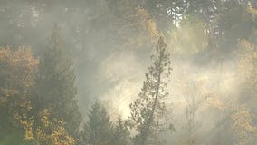 DNR Commissioner Hilary Franz talks about legislation that pays for wildfire response