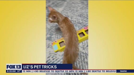 Liz's Pet Tricks for Friday, September 23