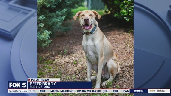 Pet of the Day from FurKids