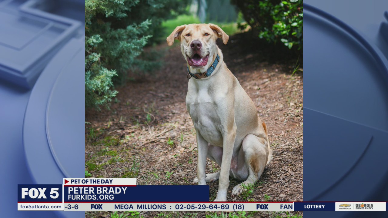 Pet of the Day from FurKids