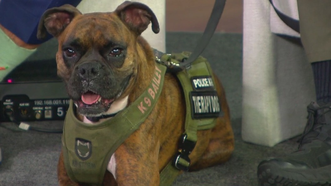 USF K-9 nominated for national award