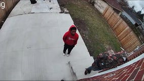 Detroit breaking and entering suspects on camera