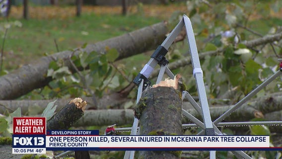 Deadly tree collapse at Halloween event kills man, injures others near Roy, WA