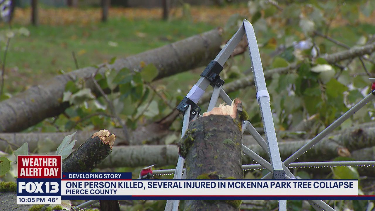 Deadly tree collapse at Halloween event kills man, injures others near Roy, WA