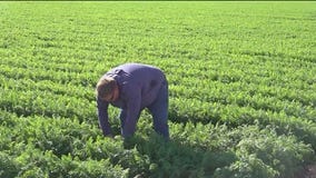 Colorado River water access agreement ends in 2026