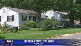 Police: Vienna man fatally stabbed ex-wife, shot self