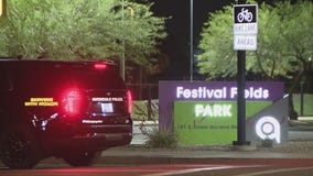 Juvenile hurt in shooting at Avondale park