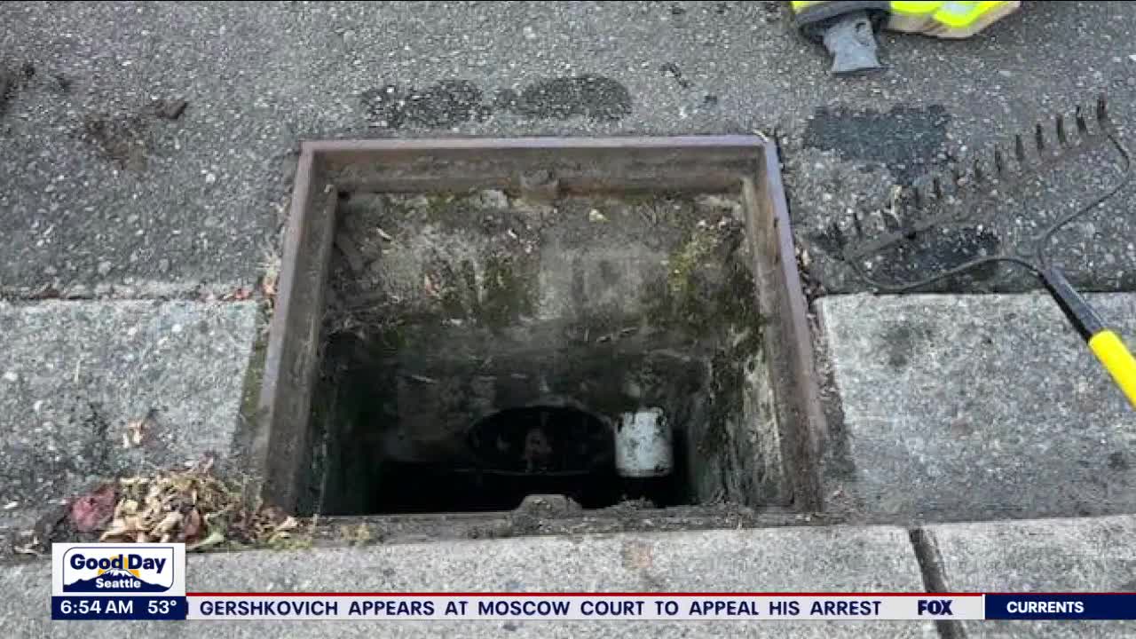 Kittens rescued from Marysville storm drain