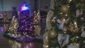 Festival of Trees in Clearwater on Charley's World