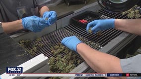 Illinois to hold another cannabis license lottery after data error