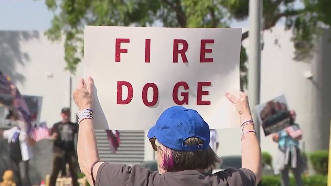 Tesla drivers react to anti-Musk protests