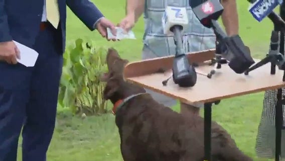 Dog rewarded after helping capture escaped inmate