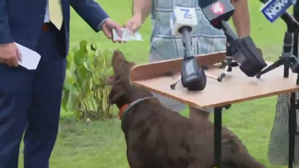 Dog rewarded after helping capture escaped inmate