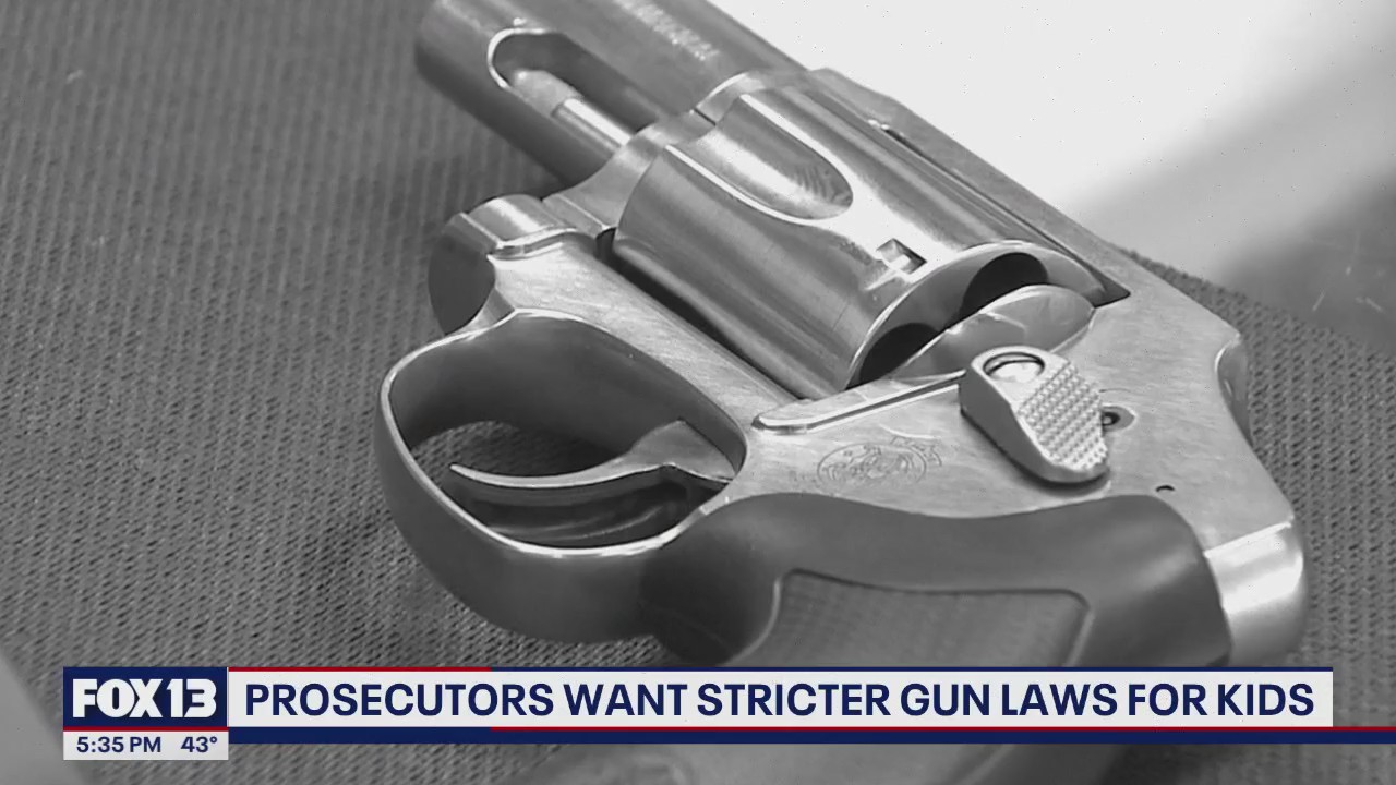Prosecutors want stricter gun laws for kids