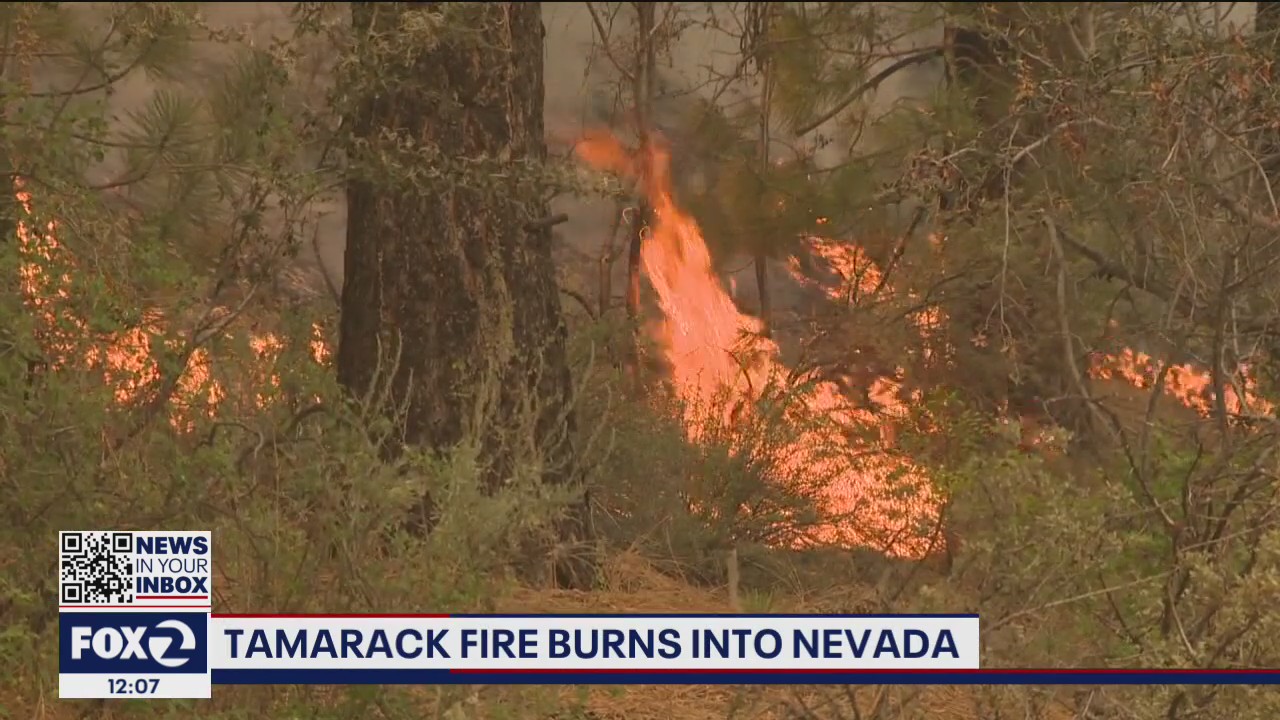 Tamarack Fire spreads into Nevada from California
