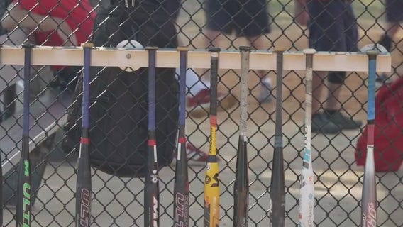 Meet the 'Kids and Kubs' Softball Club