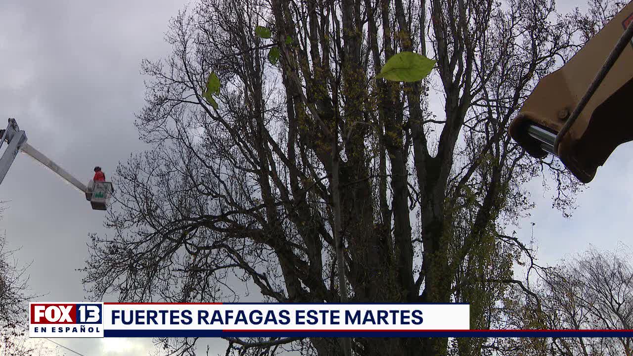 ?ltimas noticias con el noticiero FOX 13 Seattle: Martes, 19 de noviembre