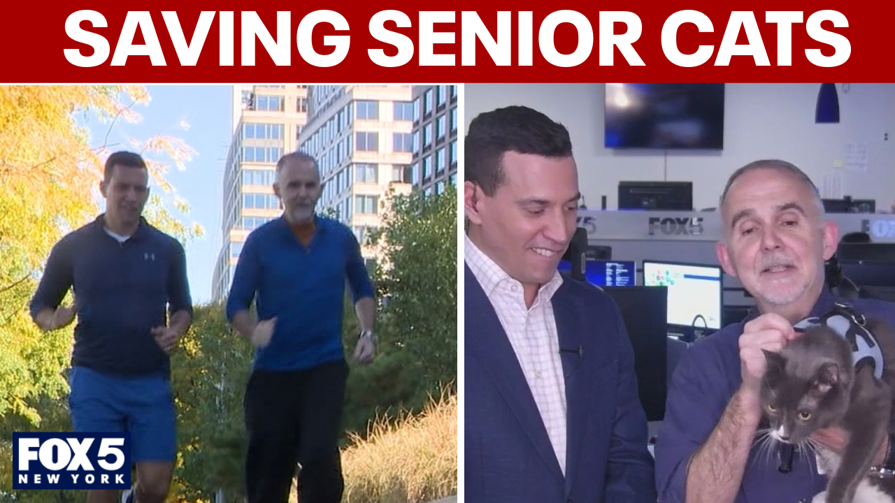 Meet the man who runs marathons for foster cats