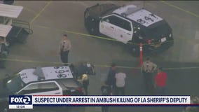Suspect arrested after LA deputy's ambush slaying