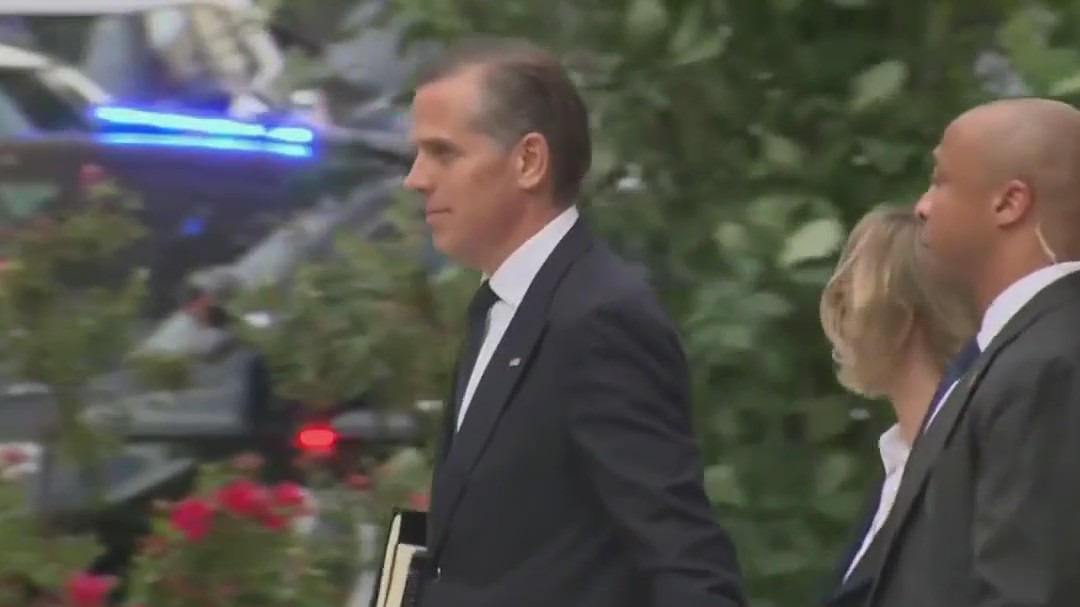 President Biden pardons son