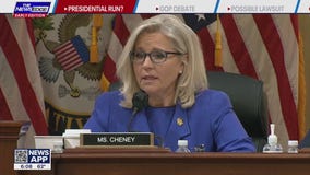 Liz Cheney contemplates presidential run
