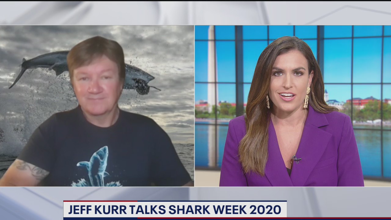 Jeff Kurr talks Shark Week 2020