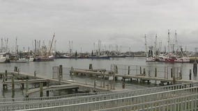 One Tank Trip: Exploring Palacios