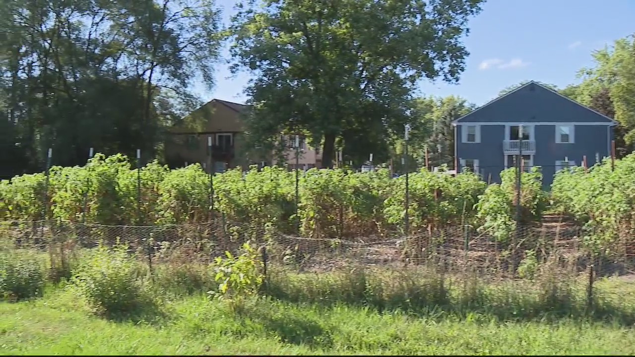 Washtenaw County farm helps formerly incarcerated find work, gain skills