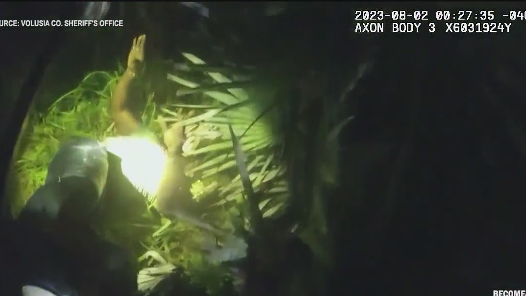 Man fled at 100 mph from deputies