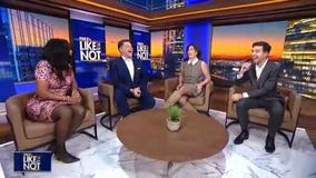 LION: November 18, 2025