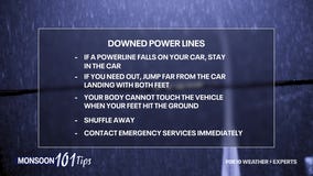 Monsoon 101: Downed power lines