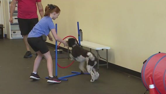 A unique Mesa summer camp for dogs and kids