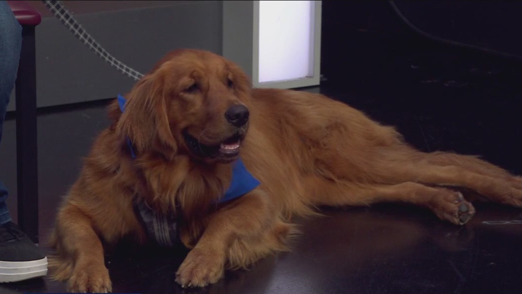 Pet of the Week: June
