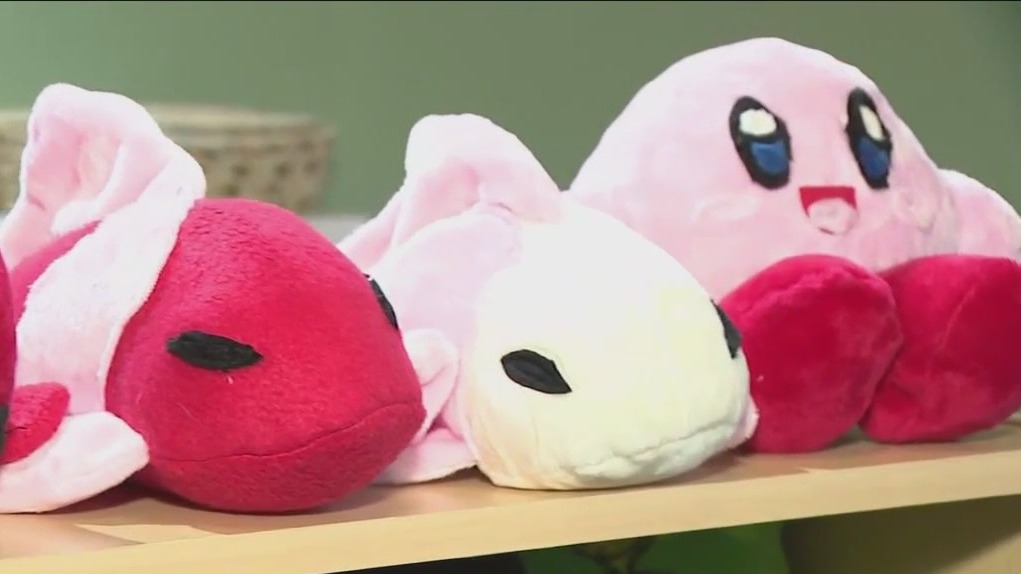 Local kid entrepreneurs