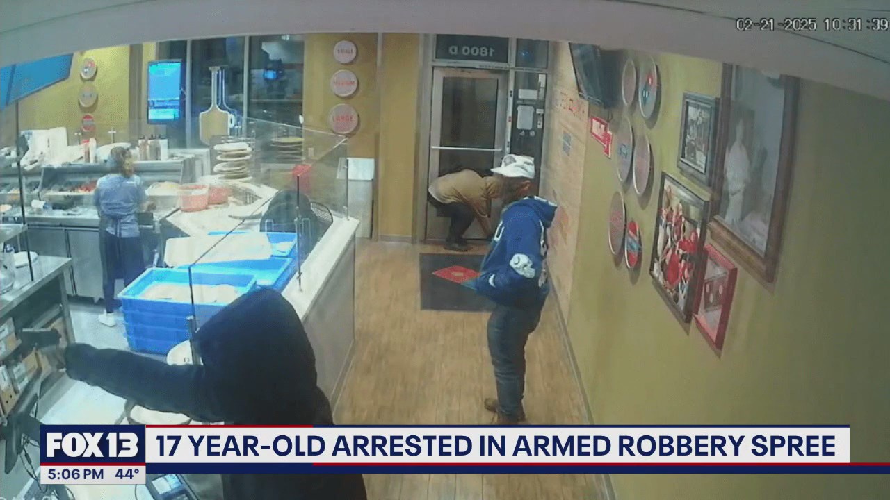 Teen arrested in armed robbery spree