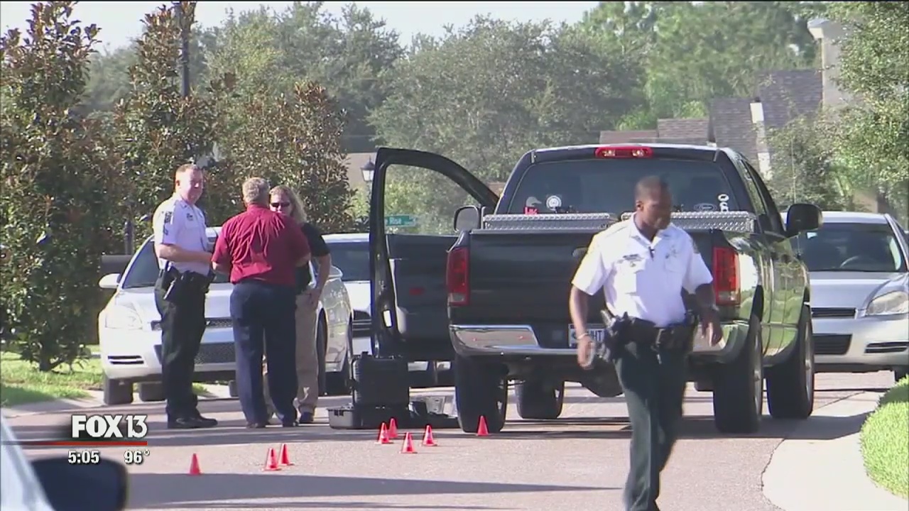 Girl dies after being hit by truck | FOX 13 Tampa Bay