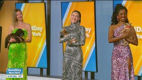 Festive fashion show with gowns and puppies