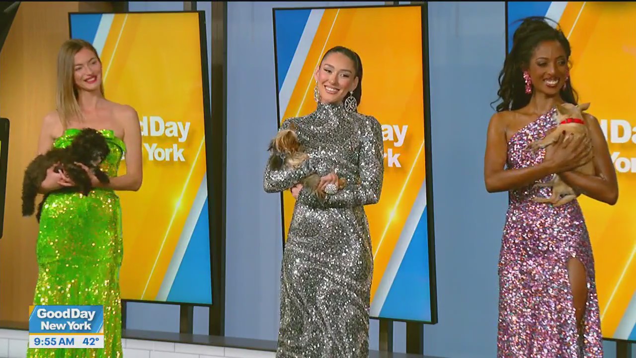 Festive fashion show with gowns and puppies
